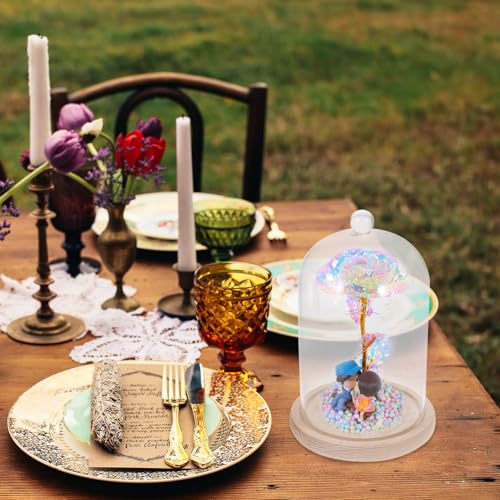 Cúpula de vidrio para centros de mesa con base de madera Happyyami transparente 6