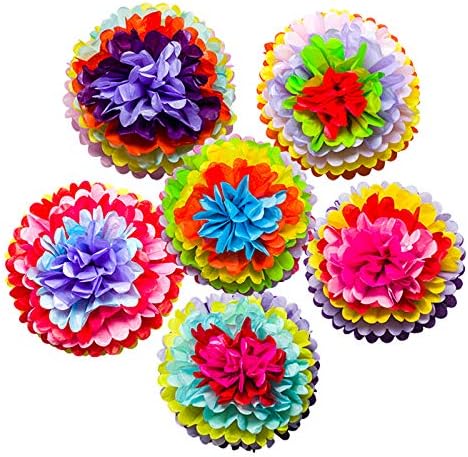 Mexican Fiesta Tissue Paper Pom Poms Flowers Rainbow Theme Party Supplies for Carnival Cinco De Mayo Wedding Birthday Decorations(6PCS)