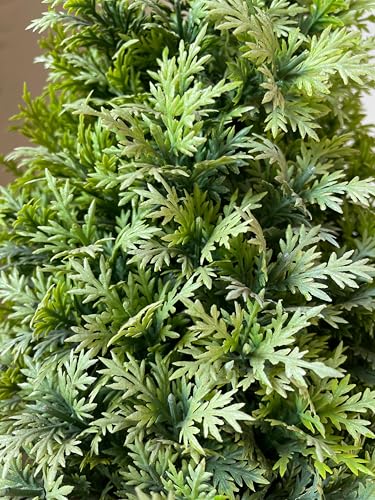 Image of Artificial Realistic Coriander Leaves Bonsai Potted Plant for Home Office Kitchen Living Room Hotel Restorent Table Corner Center Piece | Natural Look | Show Piece | 36 cm