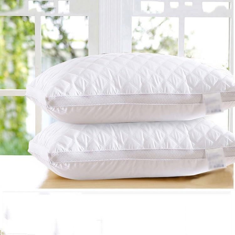 Oreiller en soie et plumes thermorégulateur en coton matelassé