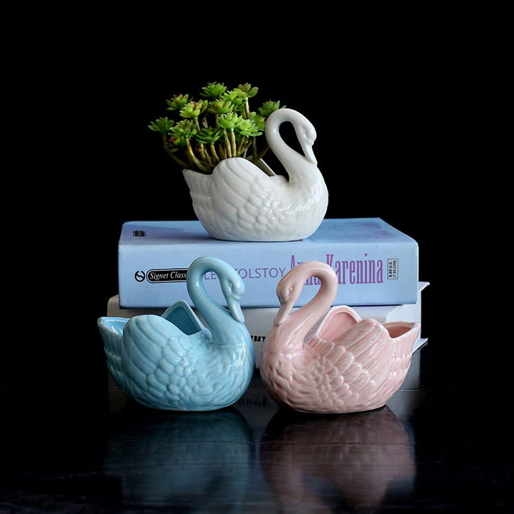 DFGHNBVC Small Ceramic Succulent Pots With Drainage Set Of 3, Mini Pots For Plants, Tiny Porcelain Planter, Air Plant Flower Pots Cactus Faux Plants Containers, Home And Office Decor,No Holes