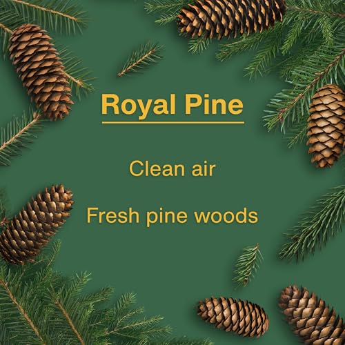 LITTLE TREES Car Air Freshener | Hanging Tree Provides Long Lasting Scent for Auto and Home | Royal Pine, 24 Air Fresheners by LITTLE TREES - Image 4