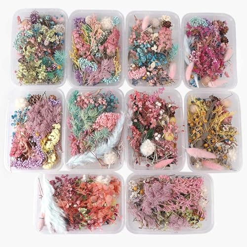 Accesorios para manualidades con flores secas y colgantes miniatura 2