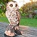 WONDER GARDEN Owl Statue Decor, Outdoor Resin Owl Figurine Sculpture for Home Outside Porch Patio Lawn Yard Decorations or Housewarming Gifts