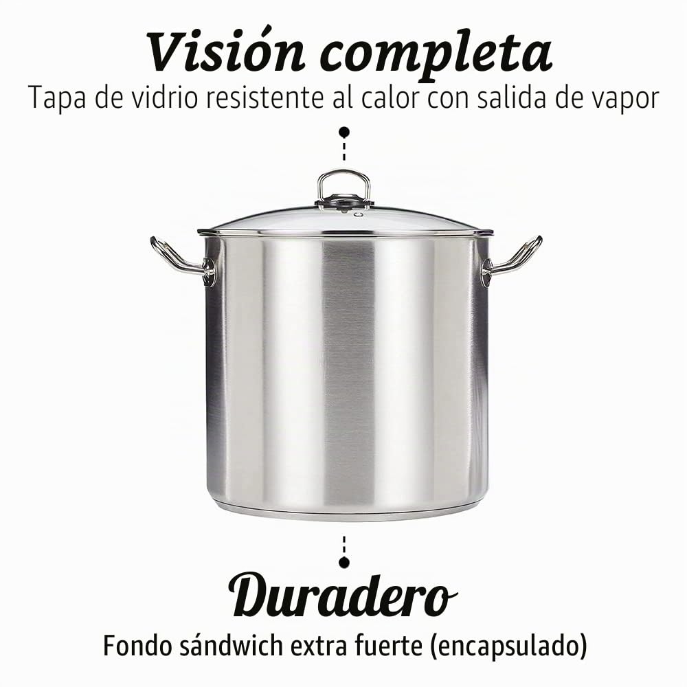 GSW 643474 - Olla grande profesional con tapa de cristal 30 x 28 cm / aprox. 20 litros, de acero inoxidable, plateada, 44 x 31,5 x 29,5 cm, 2 unidades
