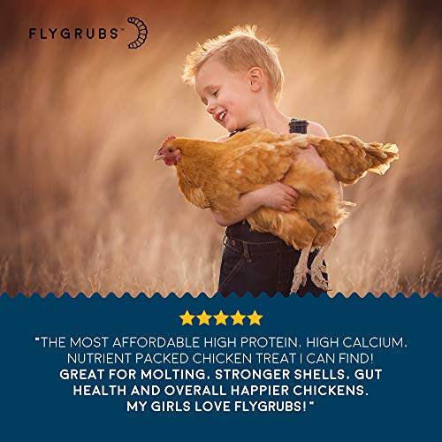 FLYGRUBS Chicken Feed Additive - Image 6