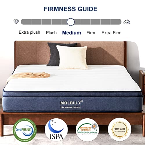 Molblly Queen Mattress, 10 Inch Hybrid Mattress In A Box, Gel Memory Foam Mattress,Individually Wrapped Pocket Coils Innerspring Mattress, Non-Fiberglass,Queen Size Mattress, 60X80X10 Inch, #TOP2