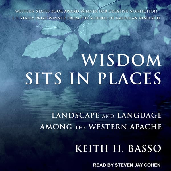 Cover art for Wisdom Sits in Places