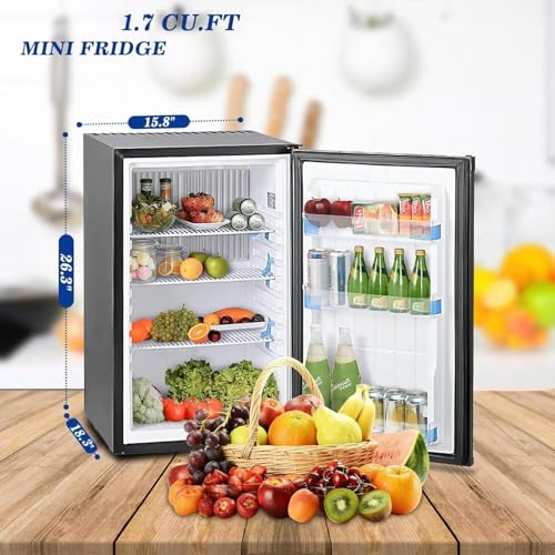 Smad DSXDW50 No Noise 110V/12V Compact Refrigerator Rv Truck Caravan Beverage Car Small Fridge thumb #4