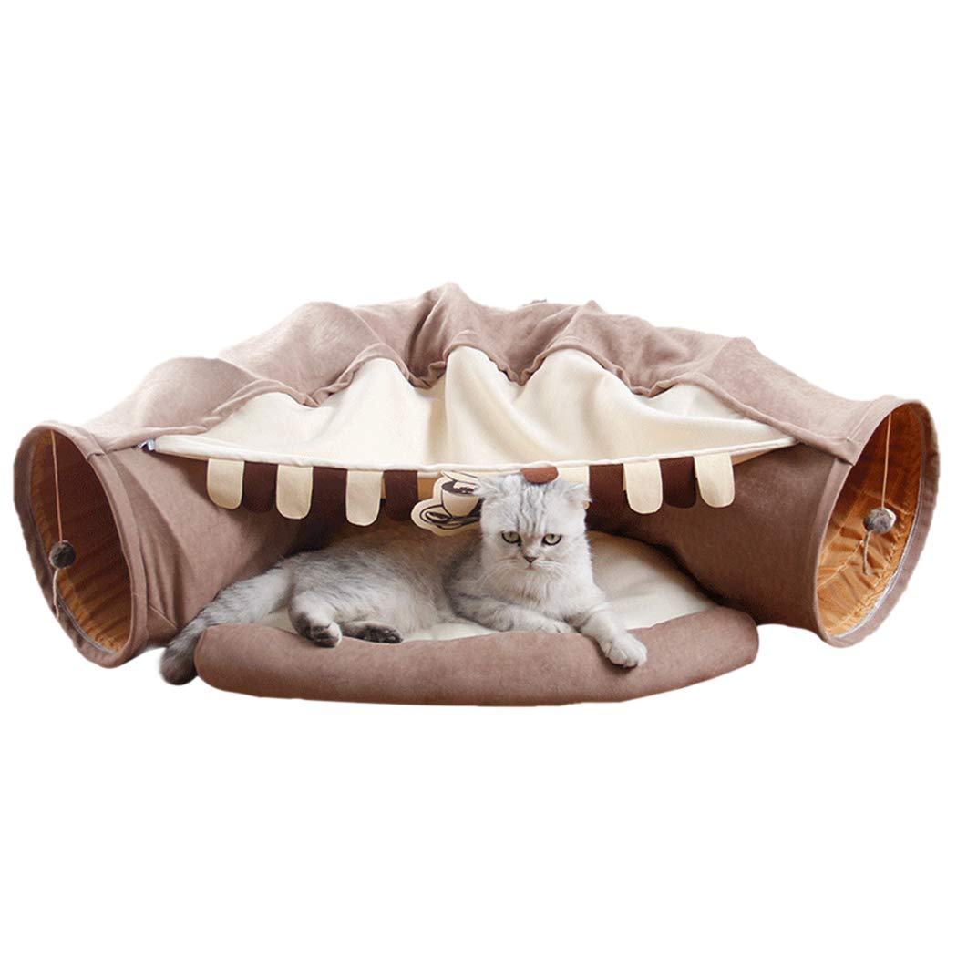 kitten beds amazon