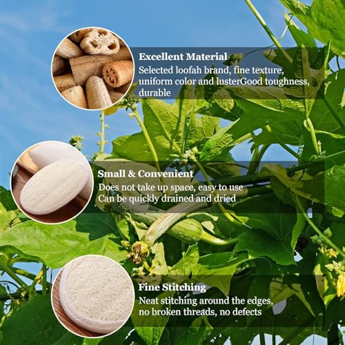 GmwyCzV 4 Piezas Esponjas de Lufa, Tapones Esponja Natural de Lufas Reutilizables, Esponja Peladora Con Cuatro Ganchos Transparentes, para Baño SPA Ducha
