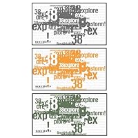 38灯　ステッカー　2025 限定 2枚セット 38灯 ステッカー 2025 限定 2枚セット