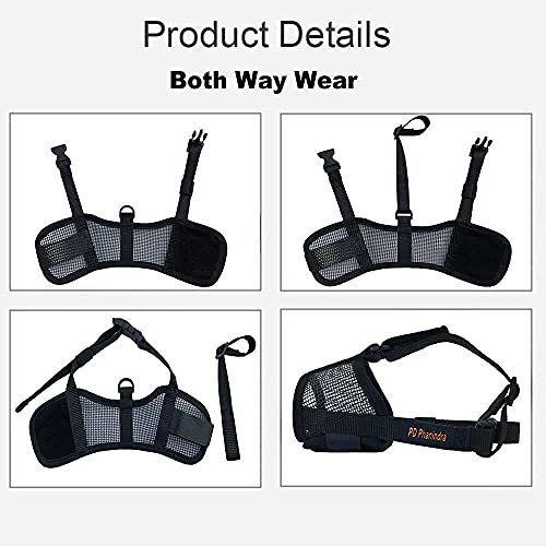 https://m.media-amazon.com/images/I/51rlpWDM9QL._SL500_.jpg