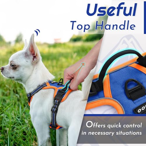 Image of Eagloo Dog Harness for Small Dogs, No Pull Pet Vest with 2 Leash Clips