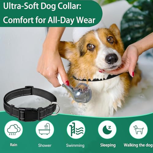 Hundehalsband, reflektierendes Hundehalsband mit Sicherheitsschnalle, verstellbares Halsband für kleine, mittelgroße und große Hunde, Schwarz, Größe M (35–50 cm)