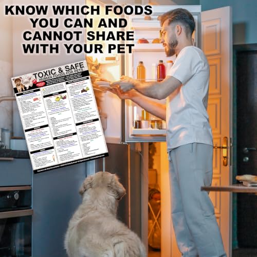 Lista magnética seguridad alimentos tóxicos para mascotas miniatura 3
