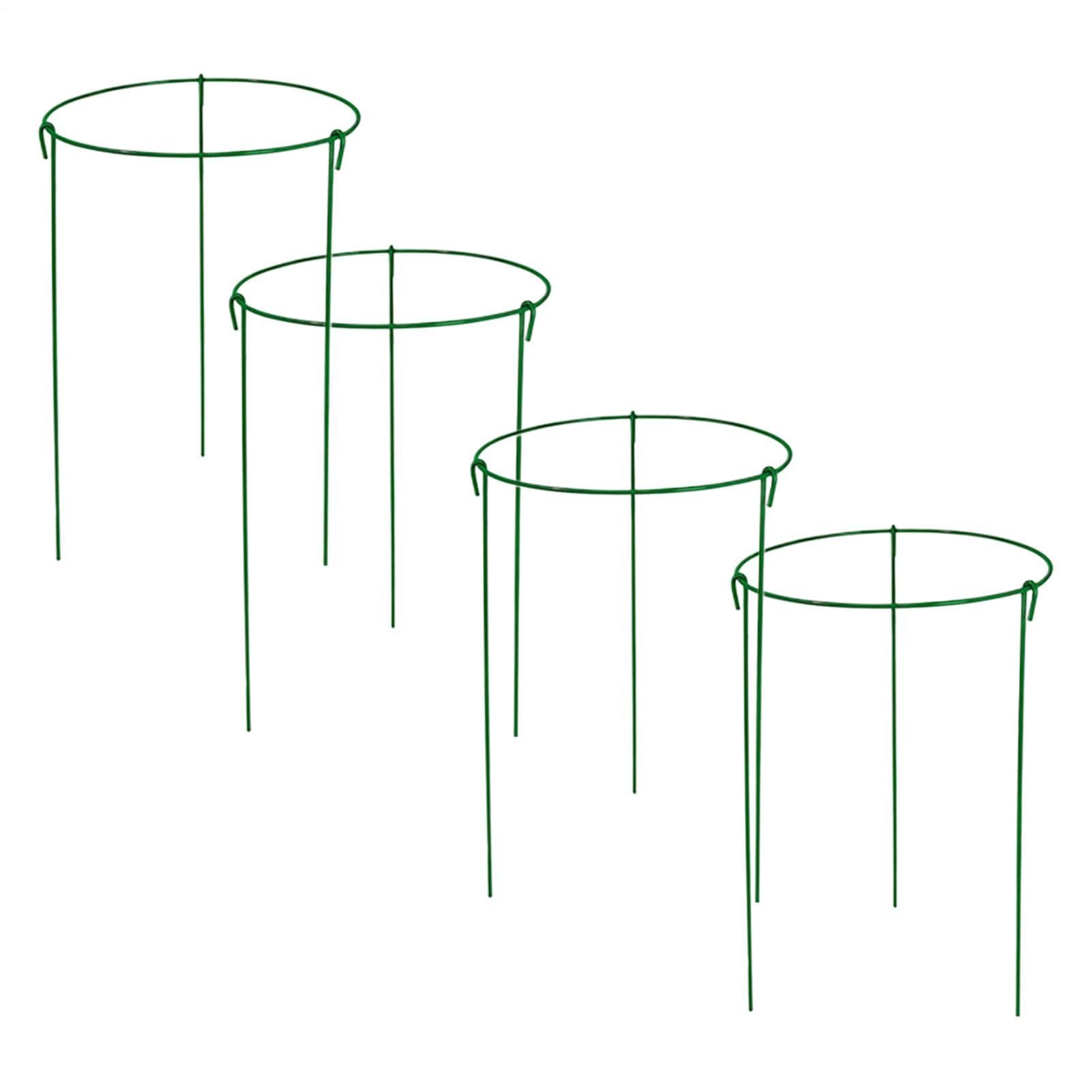 Support de pivoine pour valoriser vos fleurs de patio et plantes d'intérieur