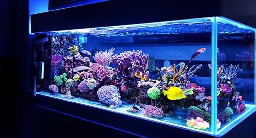 Image of Awesome Aquatic Mixed Bed DI Resin 1.25 lb Resintech MBD-30 Nuclear Grade Color Changing DI Resin Deionization RO /DI 10 inch Filter Cartridge Refill (1.25 lb) (Pack of 3)