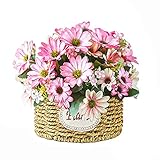 【Seidenblumen Größe】: Die gesamtlänge der gefälschte rose blume höhe beträgt etwa 25 cm, die durchmesser beträgt etwa 20 cm, Der Blumentopf hat eine eingebaute wasserdichte Membran, die Feuchtigkeit und Mehltau verhindert und im Innen- und Außenbereich aufgestellt werden kann. Deko Blumen sind UV-beständig und lebendig realistisch, können überall dort platziert werden, wo das heißelte Wetter viele frische Blumen tötet und sind immer lebendig.