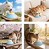 Dog Lick Ball,Licking A Ball Add More Fun Bowl, Dog Lick Ball Bowl,Licking A Ball for Dogs,Slow Down Eating Speed and Add More Fun for Your Dog and Cats. (Y*2PCS) #1