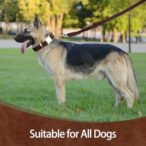 VOKYLR Leather Collar and Leash Set