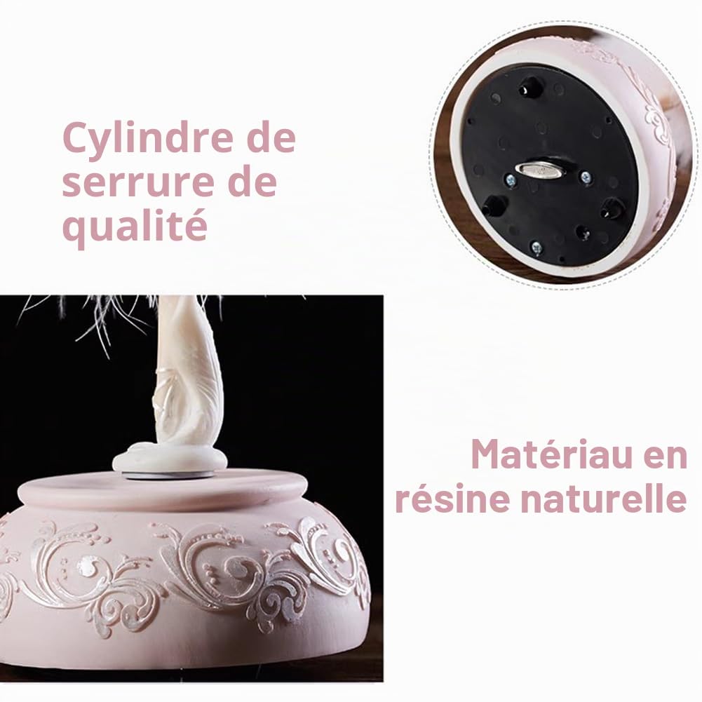 Boîte à musique de ballerine, boîte à musique rotative avec jupe, boîte à musique exclusive de ballerine avec lac pour cadeau d'anniversaire, rose