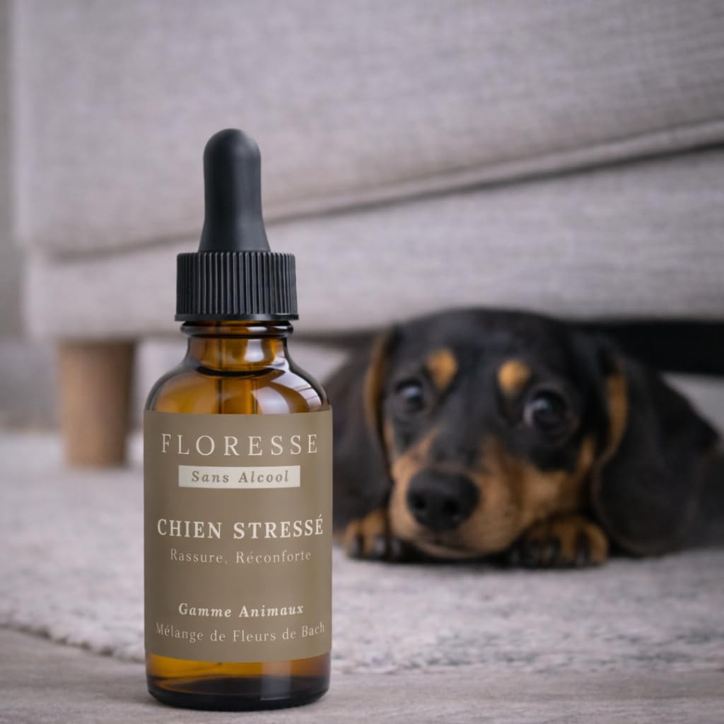 Conseil Fleur de Bach® – Fleurs de Bach Chien Stressé 30ml +1 OFFERT – Cure complète – Stress, anxiété, agitation – Chien apaisé et serein – "SANS ALCOOL" - Élixir floral traditionnel – Lot 2 flacons