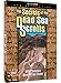 The Secrets of the Dead Sea Scrolls