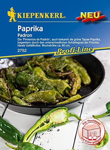 Preisvergleich Produktbild Kiepenkerl 2752 Pimientos de Padron (Paprikasamen)