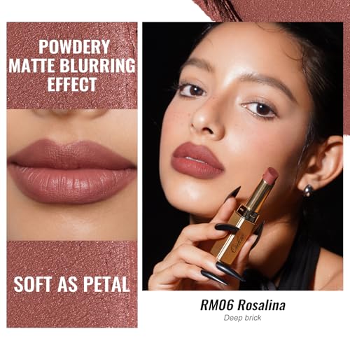 Image of Oulac Pink Nude Matte Lipsticks for Women, Silky Velvet Matte Lipstick, Soft Smooth Texture, High Impact Lip Color, Not Dry Lightweight Formula Infused with Vitamin E, Vegan&Cruelty Free RM06