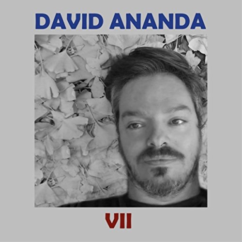 Amazon.com: VII : David Ananda: Digital Music
