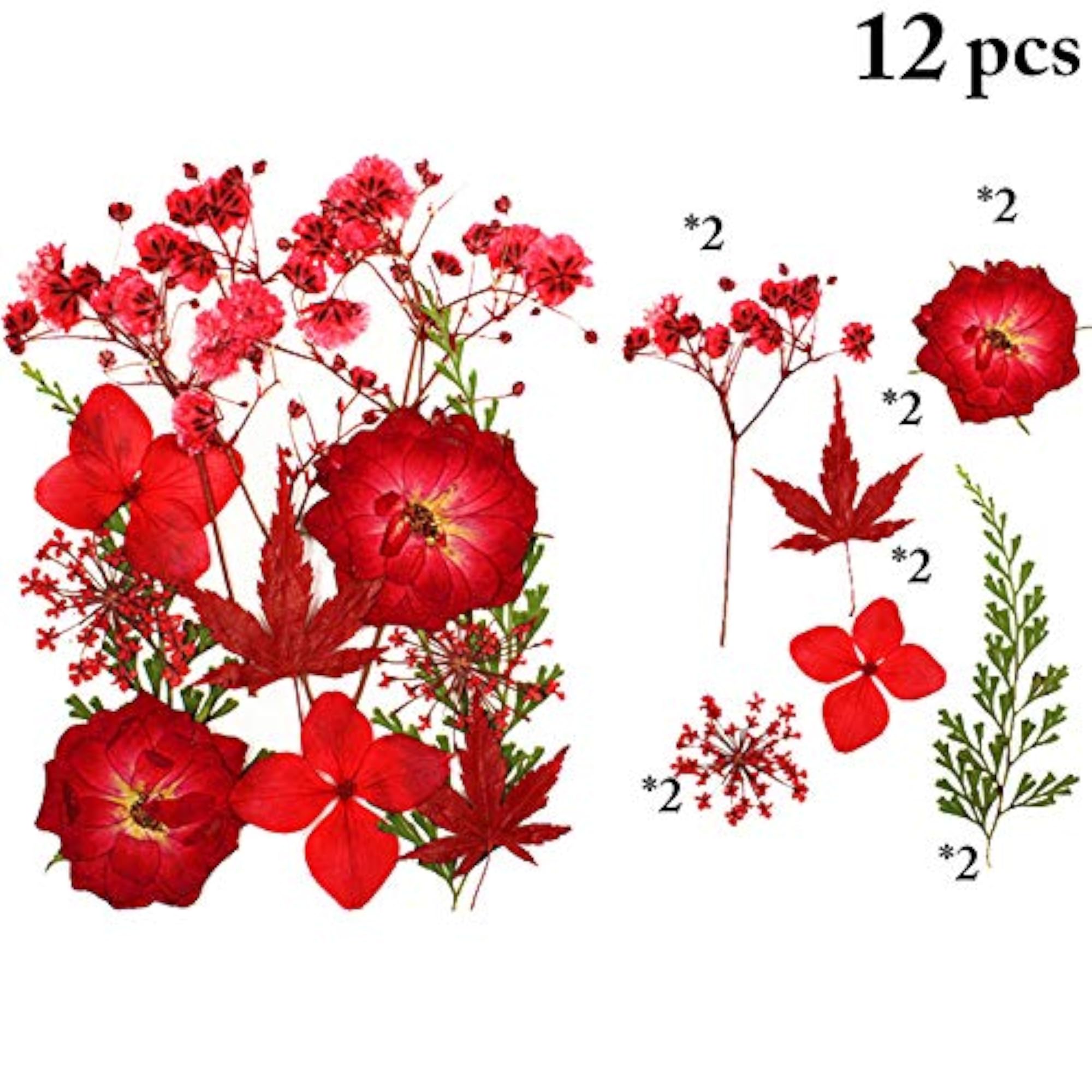 12PCS Real Dried Flower Decorative Set