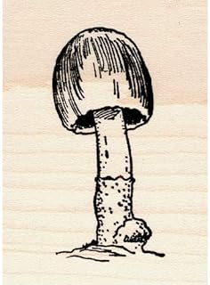Ink Cap Mushroom Rubber Stamp
