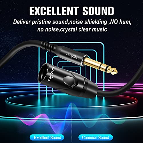Twozoh Xlr Male To 1/4 Inch Jack Trs Cable, Balanced 6.35Mm Plug To 3 Pin Xlr Male, Quarter Inch To Xlr Stereo Male To Male Guitar Cable 3.3Ft (Profesional/Hifi) #TOP4
