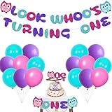Cartoon Owl 1st Birthday Party Decorations for Boys Girls with Look Whoo's Turning One Banner Latex Balloon, Owl One Cake Topper for Kids First Birthday Decoration Supplies