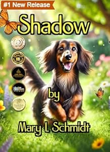 Shadow