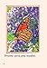 La vida de una mariposa (A Butterfly's Life) (Spanish Version) (TIME FOR KIDS® Nonfiction Readers) (Spanish Edition)