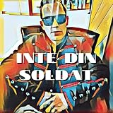 bool sint int dint real  INTE DIN SOLDAT