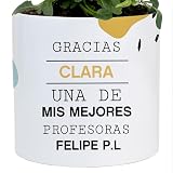 Wanapix | Maceta Grande de Cerámica Personalizada | Regalo para Maestras/Profesores| Jardinera con tu Nombre o Foto | Cerámica | Agradecimiento