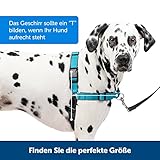 PetSafe Easy Walk Deluxe Geschirr, Gehgeschirr ohne Zug für Hunde, gepolstertes Design, inkl. 1,8 m Leine, mittelgroße/große ozeanblaue/Schwarze Leine