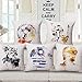 JWEK Housse de Coussin 5 pièces Ensemble Taie d'oreiller Star Wars Aquarelle Héros Taie d'oreiller Robot Taie d'oreiller Chambre Canapé Décoration 45X45Cm