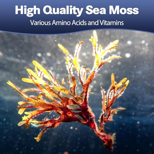 Totaria 25-in-1 Sea Moss Capsules with Bladderwrack & Burdock (120 ct) — view 3