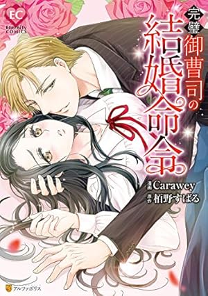 冷徹御曹司と政略結婚したら、溺愛で溶かされて身ごもり妻になりました