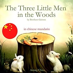 The Three Little Men in the Woods - 森林里的三个小矮人 Audiolibro Por Brothers Grimm arte de portada