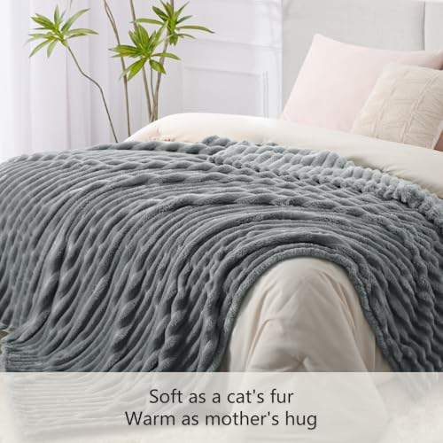 RUIKASI Kuscheldecke Flauschig Decke Hellgrau - 230x270cm Riesig Fleecedecke Sofadecke Couchdecke für Wohnzimmer Deko Blanket… – Ansicht 3