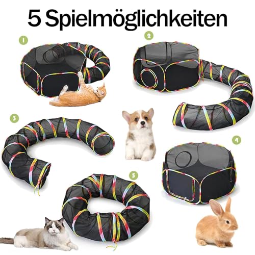 Tunnel pour chats 2-en-1 avec parc de jeu pliable extérieur et intérieur