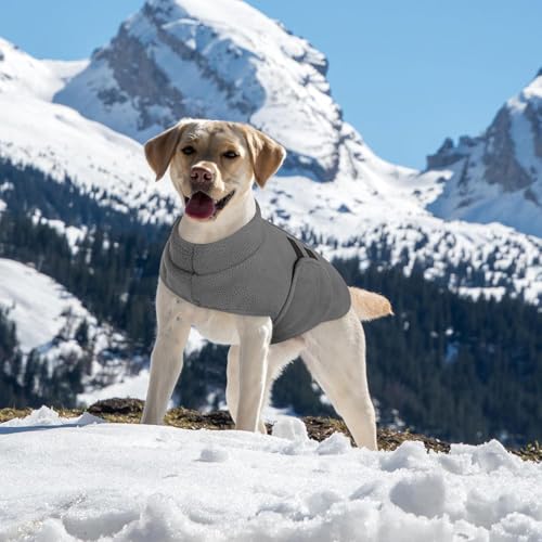 Queenmore Hundepullover Fleece Wärme & Weich, Hundebekleidung & Zubehör Für Französische Bulldogge, Windhund & Corgi, Olivgrün, L