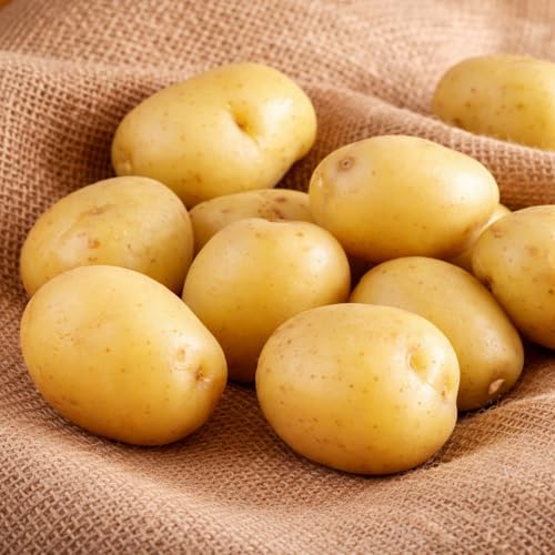 Superior Seed Potatoes for Planting | Early Season White Potato