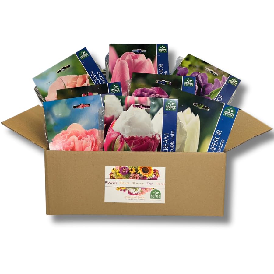 Nojus - 8 Sorten Tulpenzwiebeln Winterhart Mehrjährig “Spring Watercolor” - 34 Blumenzwiebeln Frühblüher - Pastellfarbe Tulpen Zwiebeln Mix