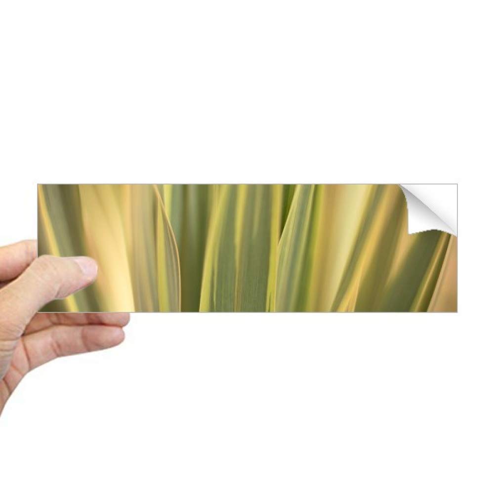 Autocollant rectangulaire pour fenêtre pour cacher le vis-à-vis motif plantes